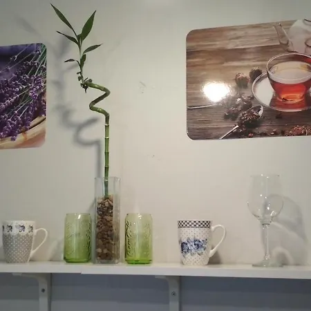 Serce Krakowa Apartamento *